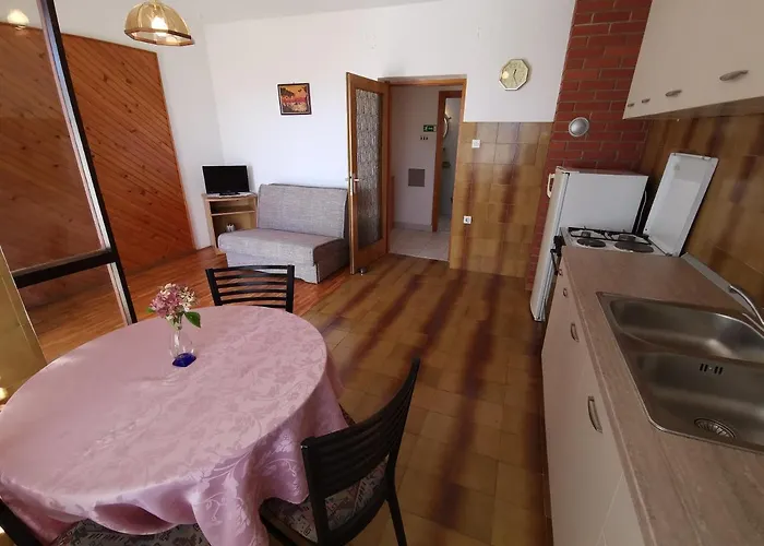 Grozdana With Terrace And Sea View Apartmán Crikvenica