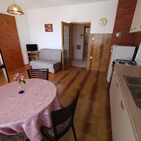 Grozdana With Terrace And Sea View 公寓 茨里克韦尼察